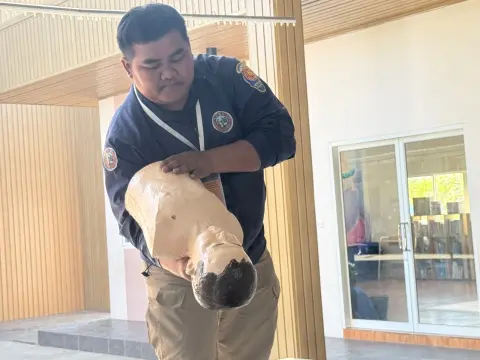 การซ้อมแผนเผชิญเหตุ